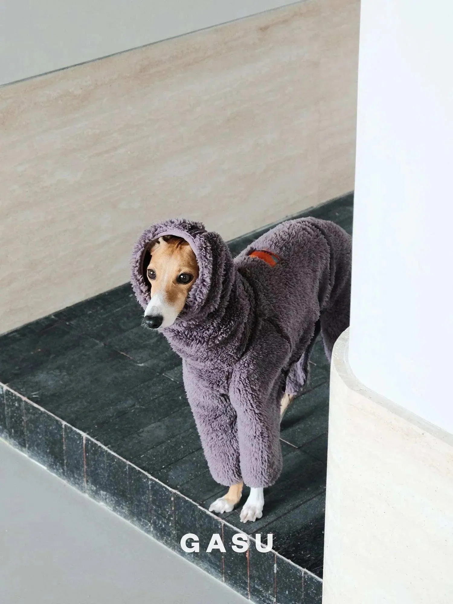 Double-sided Anti-static Fleece Dog Jumpsuit | Raisin