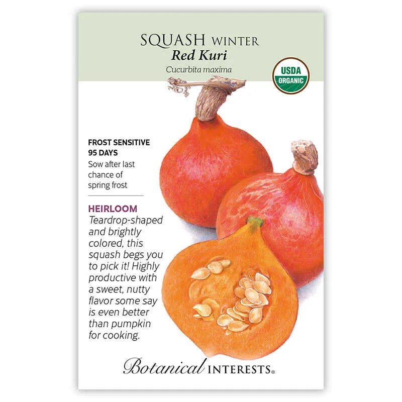 Red Kuri Winter Squash Seeds