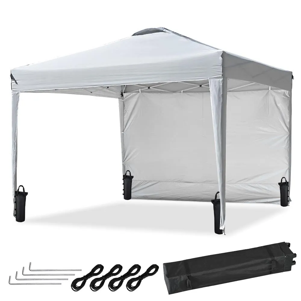 TheLAShop 10x10 Pop Up Canopy Tent Instant Shelter